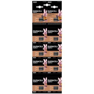 Alkalické batérie DURACELL Basic AAA LR03 20ks Blister