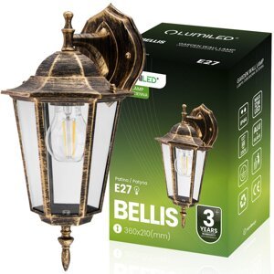 Vonkajšie fasádne nástenné svietidlo E27 LATARNIA DOWN DOWN Patina BELLIS LUMILED