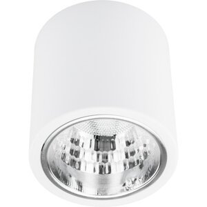 Kovové bodové svietidlo JUPITER 13 DOWNLIGHT E27 s povrchovou montážou