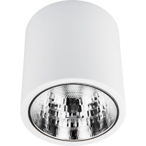 Spot JUPITER 17 DOWNLIGHT E27 stropné svietidlo s kovovou trubicou na povrchovú montáž