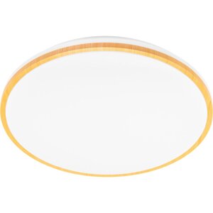 Plafond LED svetlo na povrch WOODY 24W 4000K 40cm